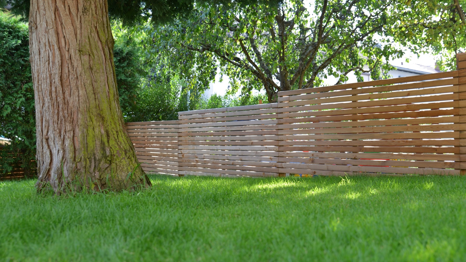 Gepflegter Rasen mit Baum und Sichtschutz